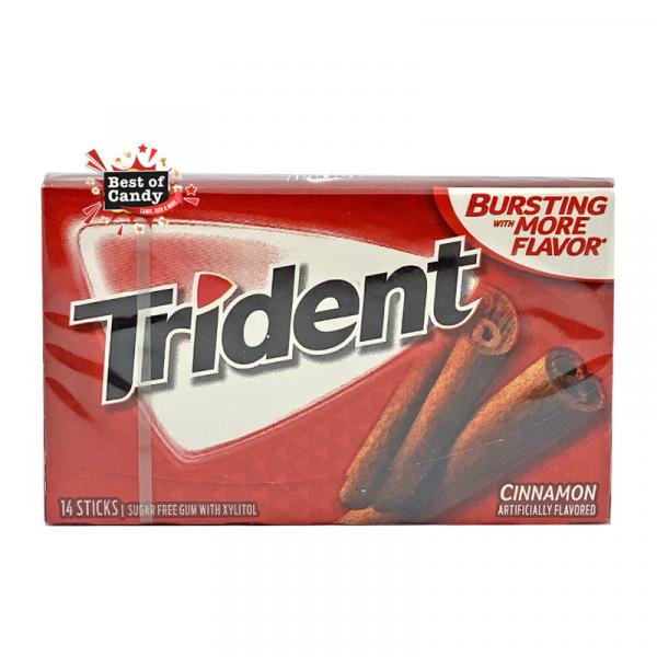 Trident Chewing Gum Cinnamon 39g